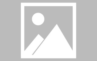 莒县网页优化和设计人才（网站优化职位）